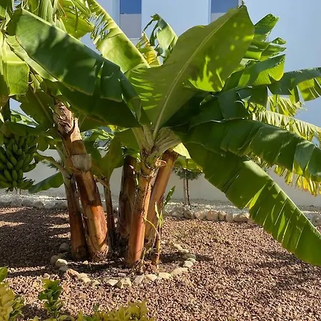 Villa, Swimming Pool, Bbq Grill, 3 Bedrooms, Near Beach * بروتاراس